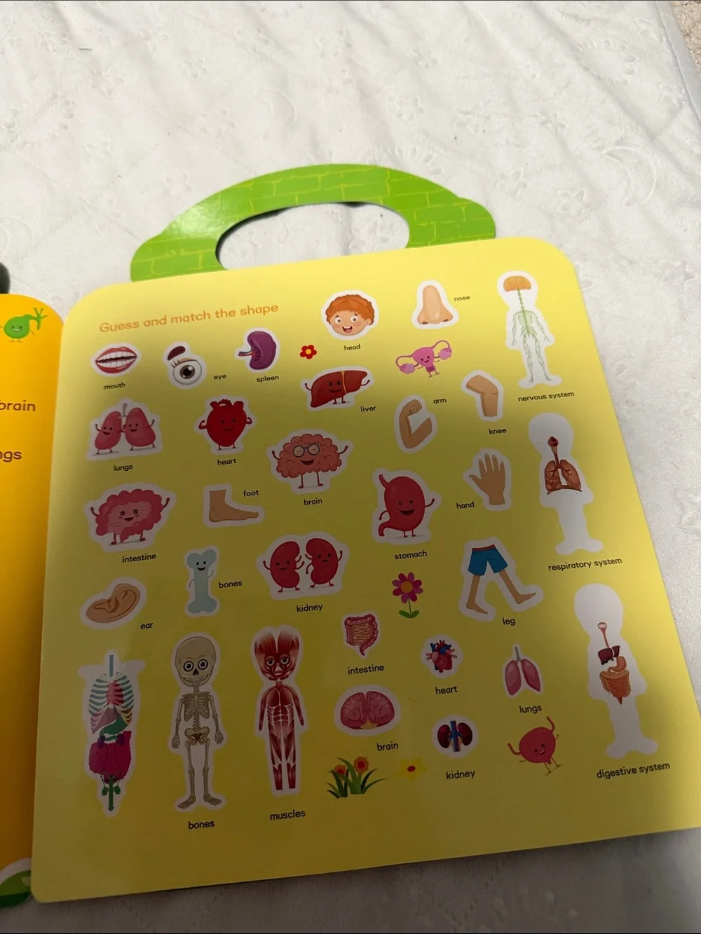 My Body! Kids Educational Sticker Book - Orange